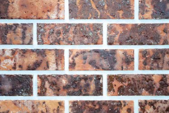 레드피안점토80 KOB-6