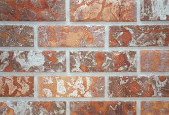  레드피안점토80 KOB-1