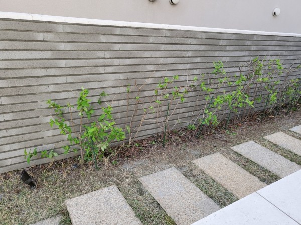 롱브릭 라나타일 그레이