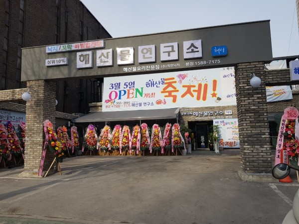 합판 위 청고벽돌타일 시공